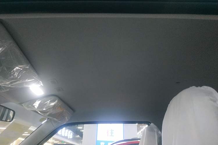 Used  Panda 2025 210 km – Yuanqi Bear
