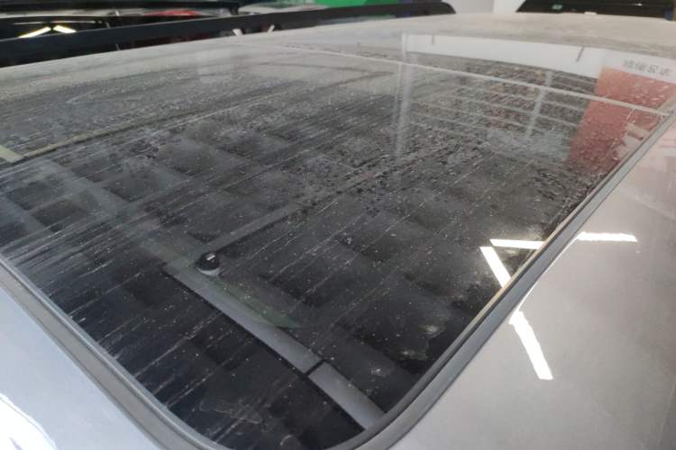 Used  Leopard 5 2023 Navigator Edition
