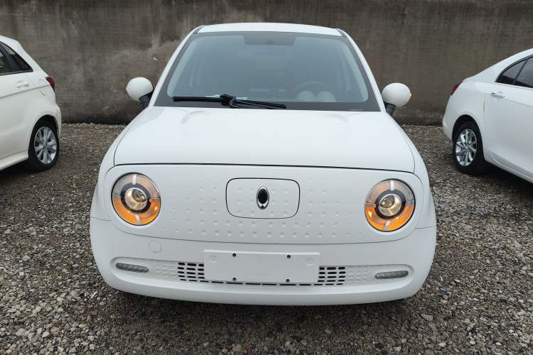 Used ORA Black Cat 2021 301 km Basic Version
