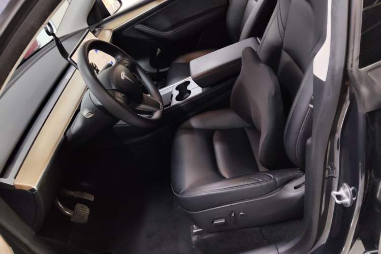 Used Tesla Model Y 2021 Standard Range Rear-Wheel Drive Version
