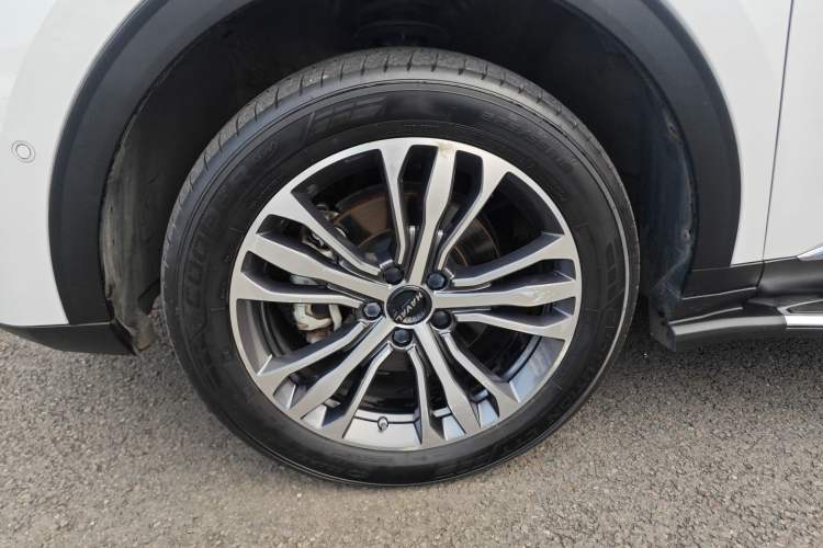 Used Haval F7 2020 2.0T Two-Wheel Drive i-Van