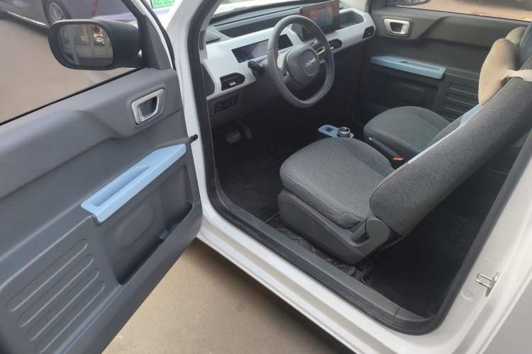 Used  Panda 2023 Panda Mini 200km Endurance Bear
