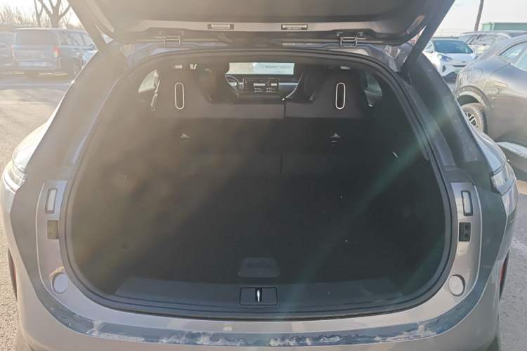 Used  07 2024 Max Extended-Range Edition