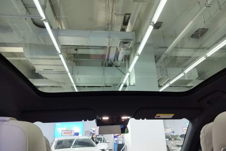 Used Li Auto L6 2024 Pro Model
