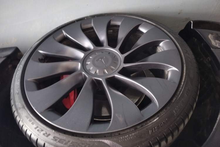 Used Tesla Model Y 2023 High-Performance All-Wheel-Drive Version