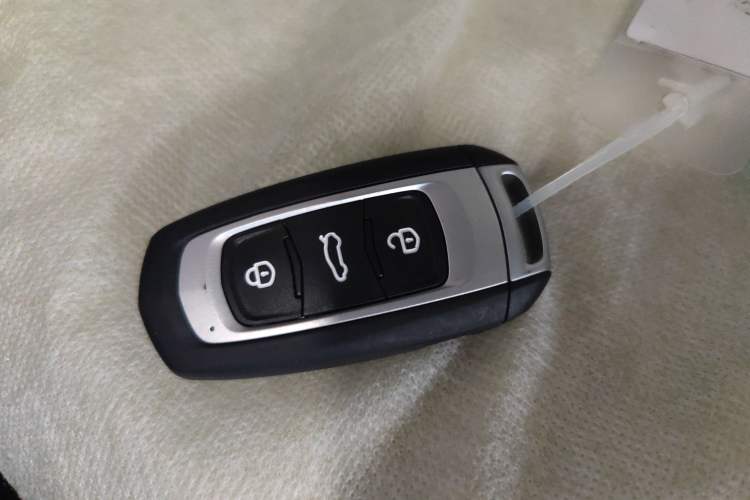 Used  Panda 2024 Panda Mini 200km Endurance Bear
