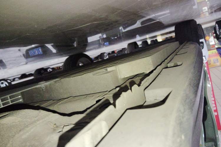 Used ORA Good Cat 2023 401 km Standard Range Luxury Version Lithium Iron Phosphate
