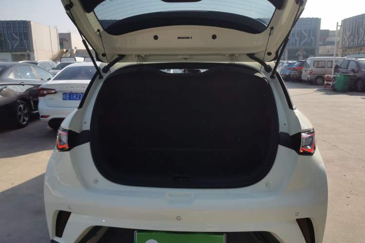 Used BYD Dolphin 2024 Honor Edition 420km Freedom Version