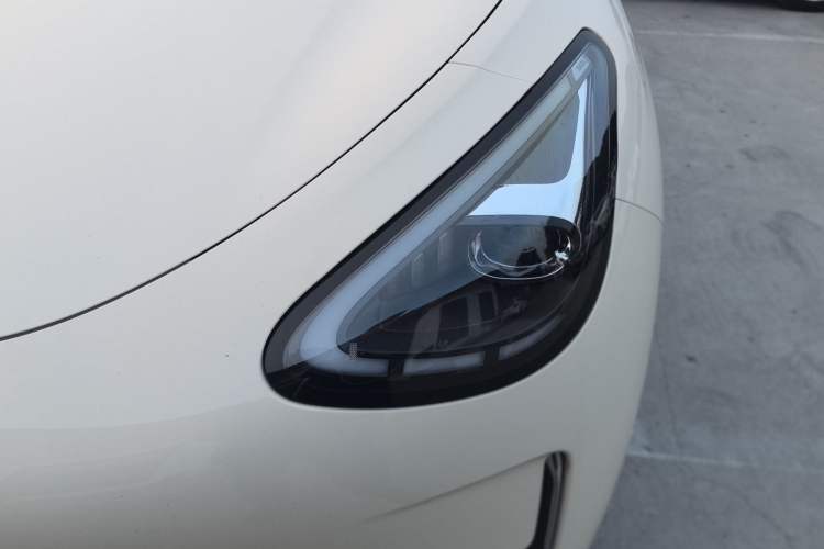 Used  Geome 2025 310km Dream Edition
