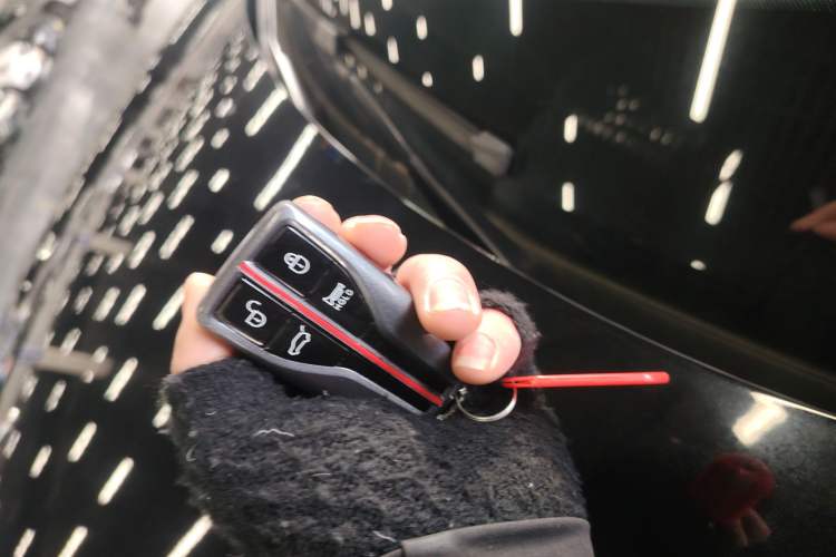 Used Hongqi HS5 2019 2.0T Smart Connect Flagship Edition
