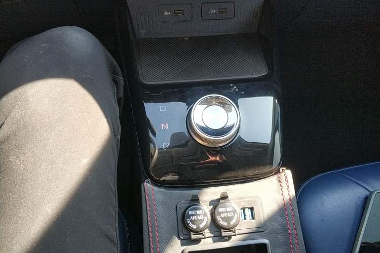 Used Geometry E Firefly 2022 320KM Cute Tiger 4-Seater