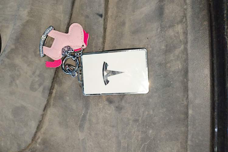 Used Tesla Model 3 2021 Revised Version Standard Range Rear-Wheel Drive Upgraded Edition 3D1
