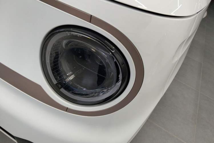 Used  Panda 2023 Panda Mini 200km Dynamic Bear
