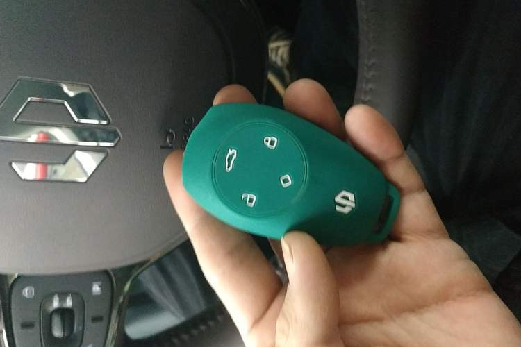 Used Leapmotor C11 2024 Range-Extended 300 Luxury Edition
