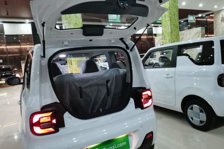 Used  Panda 2024 Panda Mini 200km Endurance Bear
