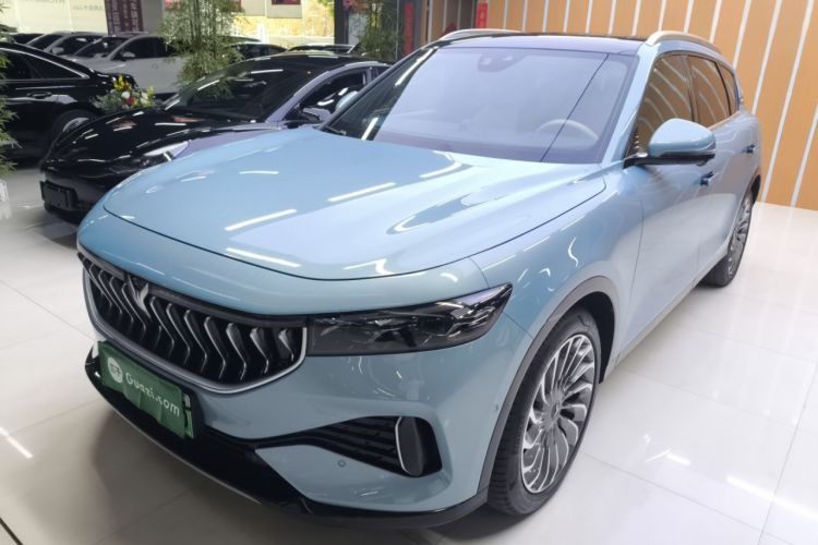 Used VOYAH FREE 2021 Four-Wheel Drive Standard Range-Extended Exclusive Luxury Package
