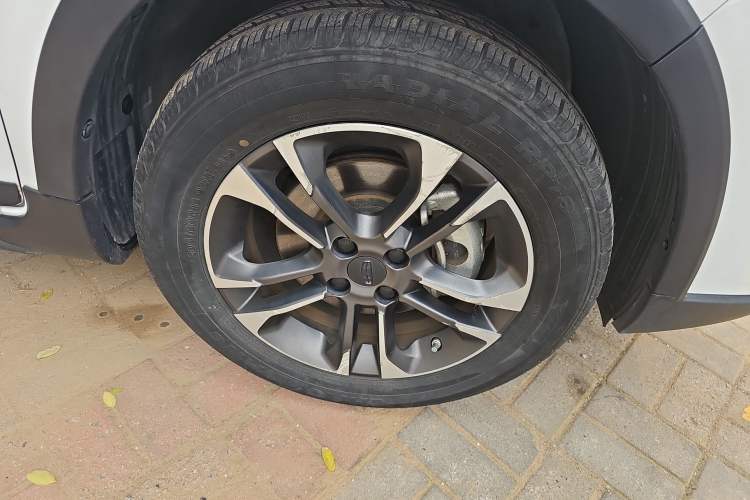 Used Geometry EX3 Kung Fu Cow 2021 Tough Bull Cow
