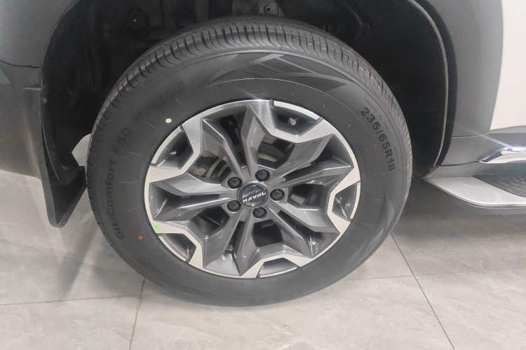 Used Haval DARGO 2021 2.0T DCT 4x4 Chinese Rural Dog Edition
