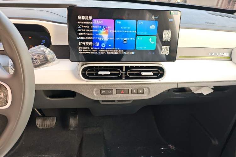 Used  Panda 2025 210 km – Yuanqi Bear
