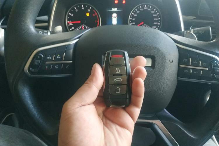 Used Haval H6 2023 National Trend Edition 1.5T Automatic Urban Version