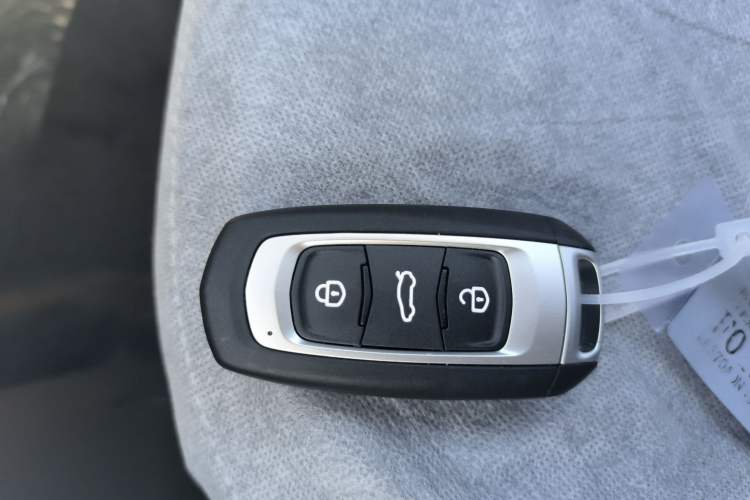 Used  Panda 2024 Panda Mini 200km Endurance Bear
