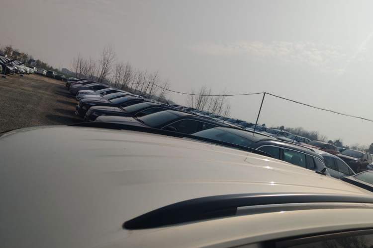 Used Volkswagen Tiguan L 2021 280TSI Automatic Two-Wheel Drive Smart Edition
