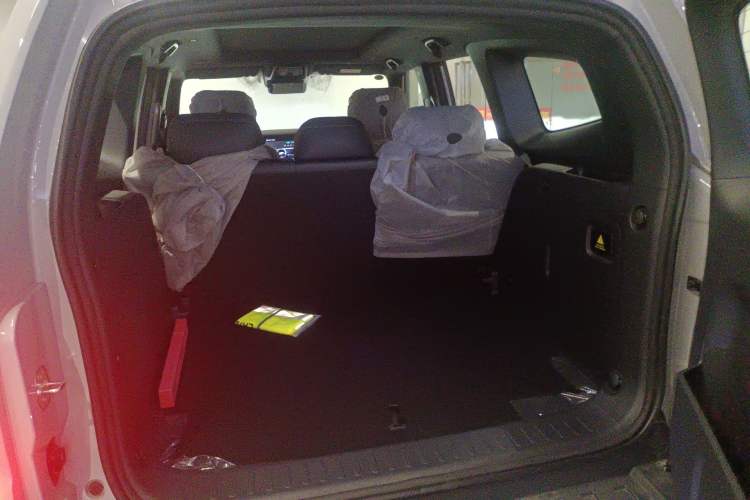 Used  G318 2024 Two-Wheel Drive Air Suspension Version
