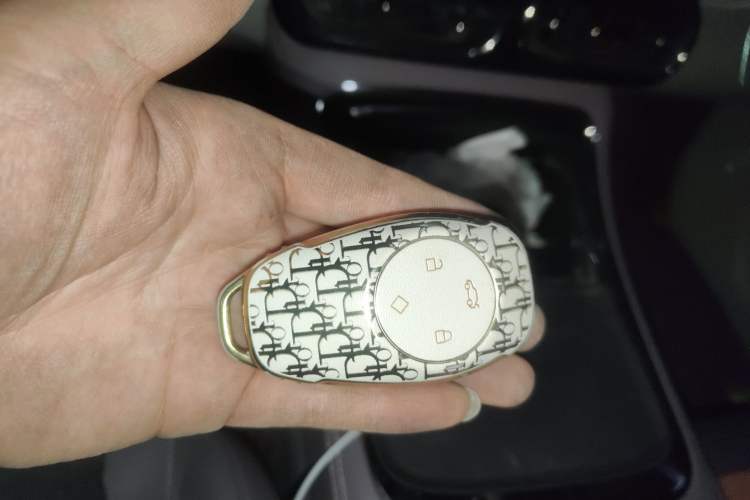 Used Leapmotor C11 2021 Luxury Edition