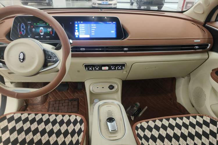 Used ORA Good Cat 2023 401 km Standard Range Luxury Version Ternary Lithium
