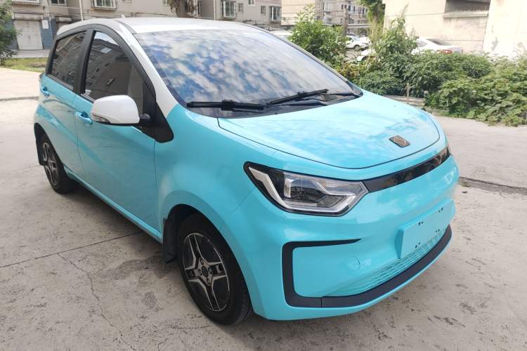 Used SOL E10X 2022 Flower Fairy Design Four-Leaf Clover
