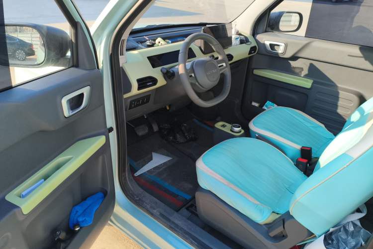 Used  Panda 2024 Panda Mini 200km Endurance Bear