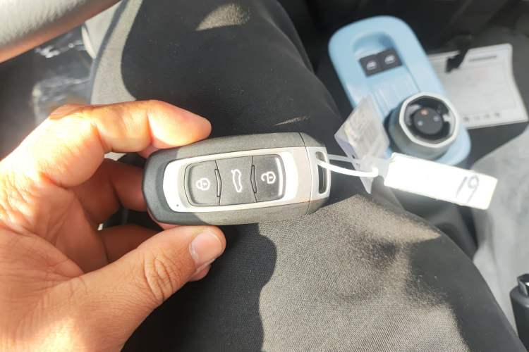 Used  Panda 2024 Panda Mini 200km Endurance Bear
