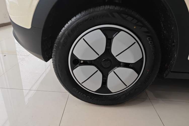 Used  Geome 2025 310km Youth Edition