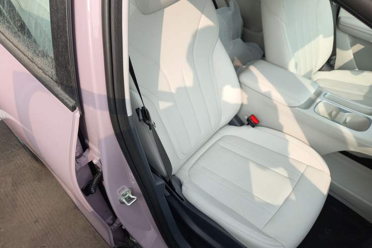 Used  Geome 2026 Model 310km Youth Edition
