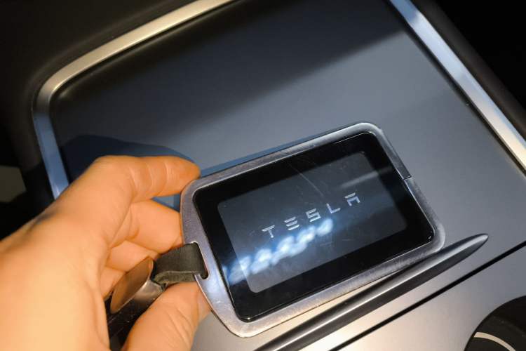 Used Tesla Model Y 2021 Long-Range All-Wheel-Drive Version
