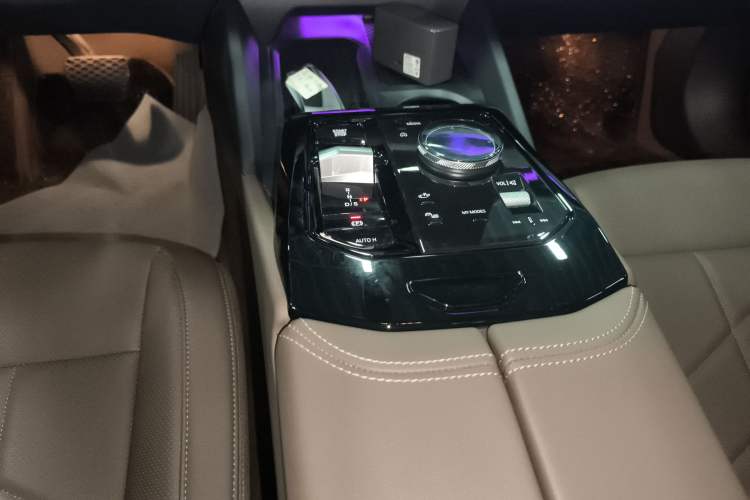 Used BMW 5 Series 2024 530Li Leading Luxury Package