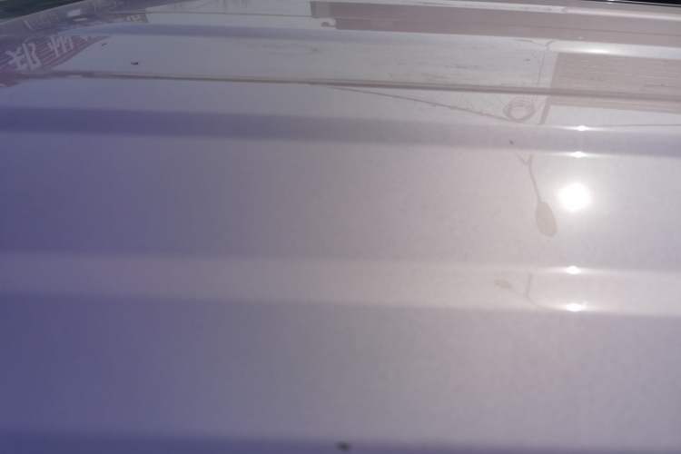 Used  Panda 2024 Panda Mini 200km Endurance Bear