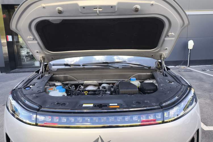 Used  eπ008 2024 210Max Range-Extended Version 6 Seats
