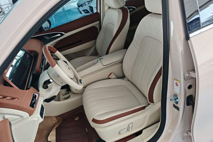 Used ORA Good Cat 2023 401 km Standard Range Luxury Version Lithium Iron Phosphate