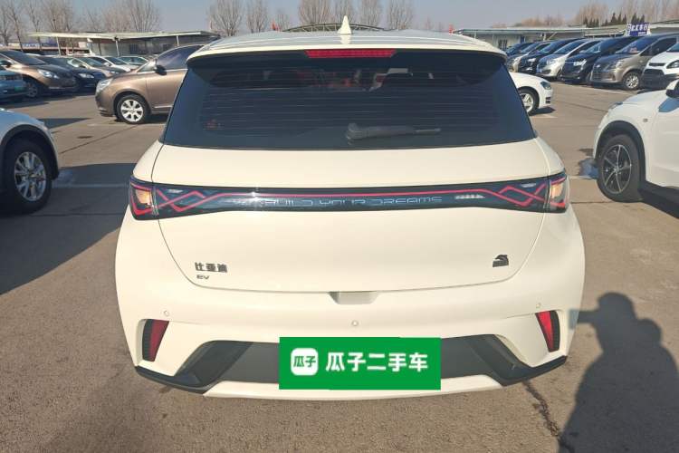 Used BYD Dolphin 2023 420 km Free Version
