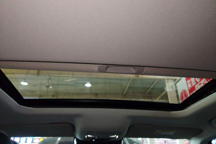 Used Tank 300 2024 2.0T Conqueror