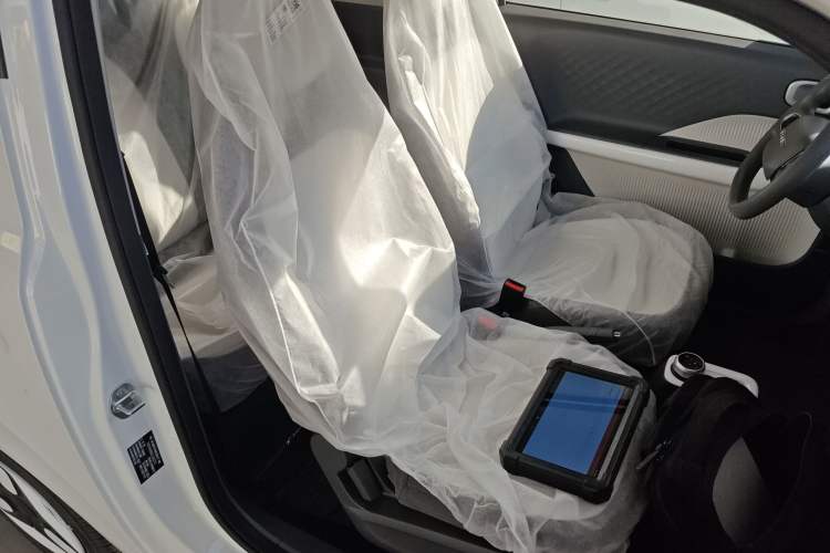 Used  Panda 2025 210 km – Yuanqi Bear