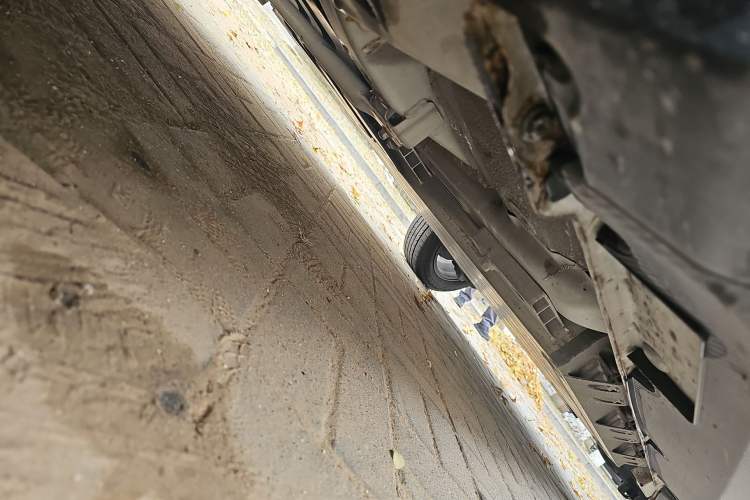 Used Geometry EX3 Kung Fu Cow 2021 Tough Bull Cow
