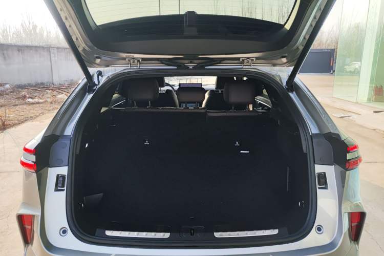 Used Wey Mocha New Energy 2024 Hi4 Four-Wheel Drive Long-Range Version