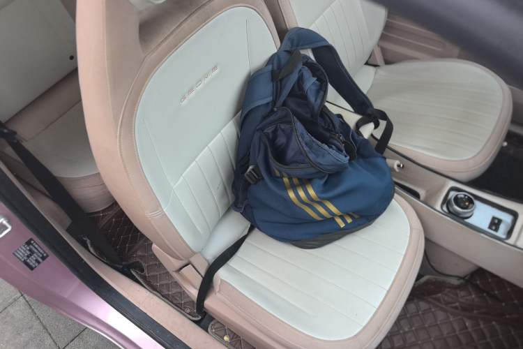 Used  Panda 2023 Panda Mini 200km Endurance Bear