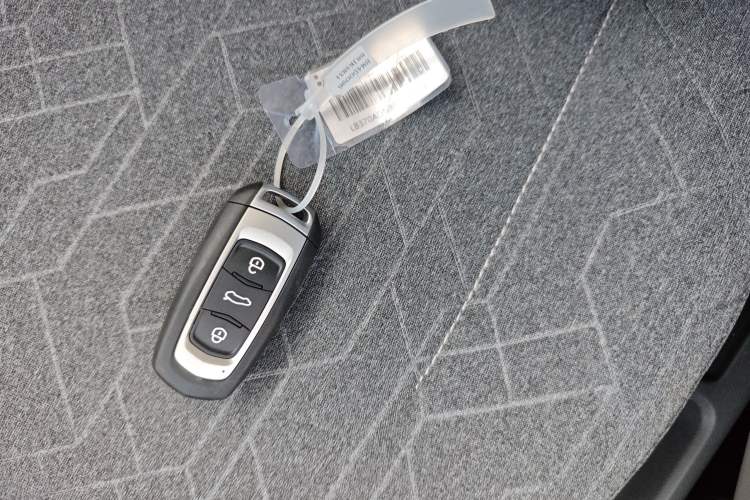 Used  Panda 2024 Panda Mini 200km Endurance Bear