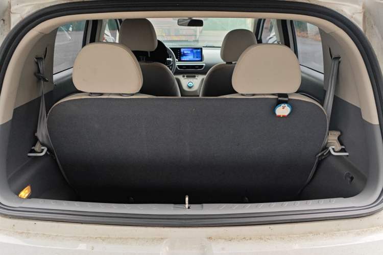 Used ORA White Cat 2020 305 km Luxury Version
