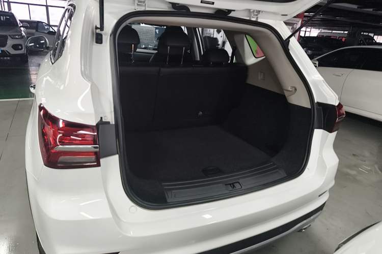 Used Roewe RX5 2020 20T Automatic 4G Connected Million Edition
