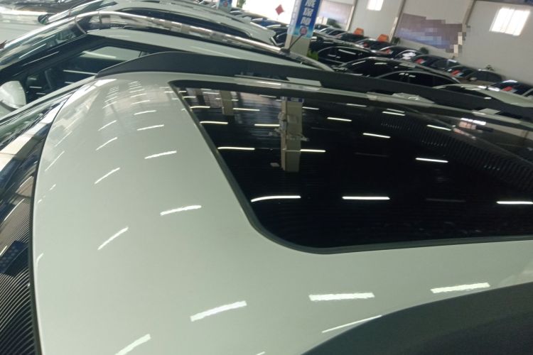 Used Haval DARGO 2024 2.0T DCT Chinese Rural Dog Edition
