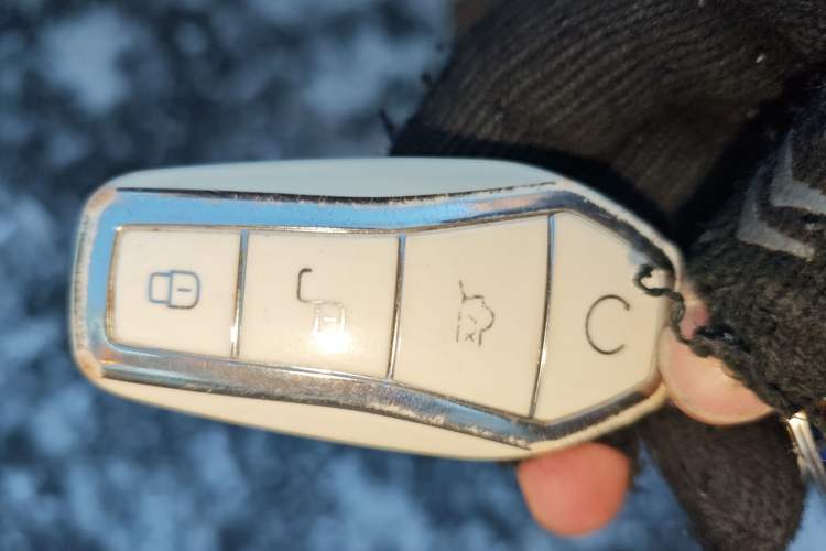 Used BYD Qin PLUS 2024 HONOR Edition DM-i 55KM Leading Model